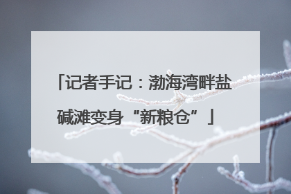 记者手记：渤海湾畔盐碱滩变身“新粮仓”