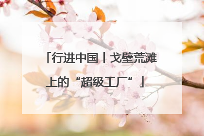 行进中国丨戈壁荒滩上的“超级工厂”