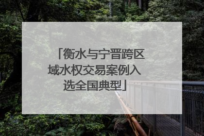 衡水与宁晋跨区域水权交易案例入选全国典型