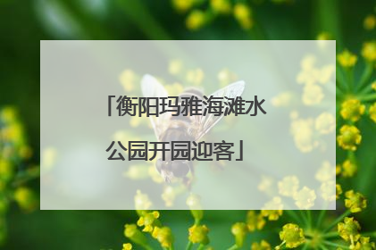 衡阳玛雅海滩水公园开园迎客