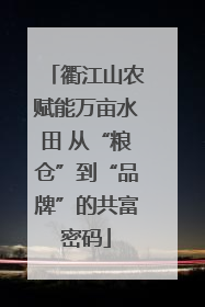 衢江山农赋能万亩水田 从“粮仓”到“品牌”的共富密码