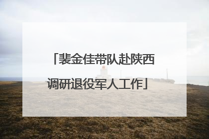 裴金佳带队赴陕西调研退役军人工作