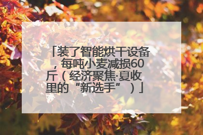 装了智能烘干设备，每吨小麦减损60斤（经济聚焦·夏收里的“新选手”）