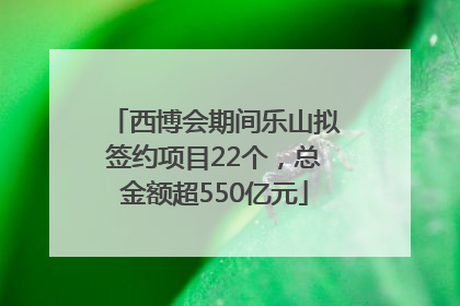 西博会期间乐山拟签约项目22个，总金额超550亿元