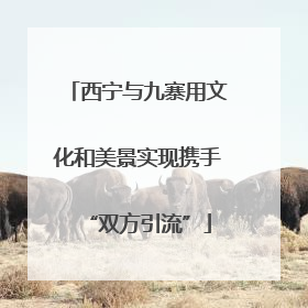 西宁与九寨用文化和美景实现携手“双方引流”