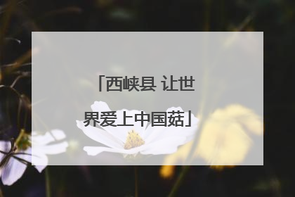 西峡县 让世界爱上中国菇