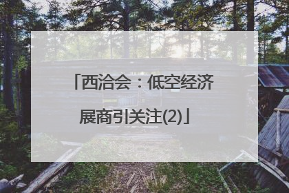 西洽会：低空经济展商引关注(2)