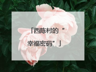 西陈村的“幸福密码”