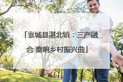 襄城县湛北镇：三产融合 奏响乡村振兴曲