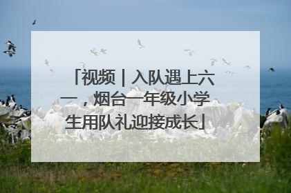 视频｜入队遇上六一，烟台一年级小学生用队礼迎接成长
