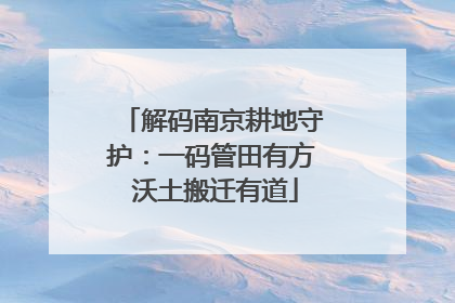 解码南京耕地守护：一码管田有方 沃土搬迁有道
