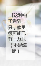 这种虫子看到一只，家里很可能已有一万只（不是蟑螂）