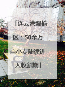 连云港赣榆区：50余万亩小麦陆续进入收割期