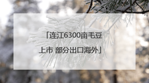 连江6300亩毛豆上市 部分出口海外