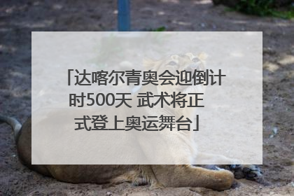 达喀尔青奥会迎倒计时500天 武术将正式登上奥运舞台