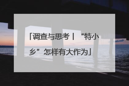 调查与思考丨“特小乡”怎样有大作为