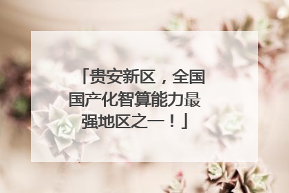贵安新区，全国国产化智算能力最强地区之一！