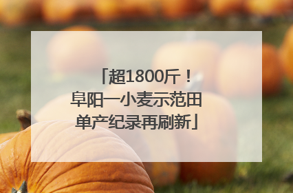 超1800斤！阜阳一小麦示范田单产纪录再刷新