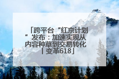 跨平台“红京计划”发布：加速实现从内容种草到交易转化丨变革618