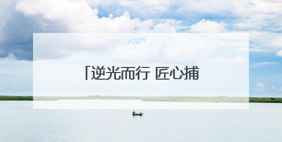 逆光而行 匠心捕韵——淄博高新区老年大学户外课堂解码光影美学密码