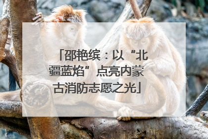 邵艳缤：以“北疆蓝焰”点亮内蒙古消防志愿之光