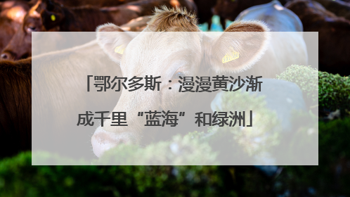 鄂尔多斯：漫漫黄沙渐成千里“蓝海”和绿洲
