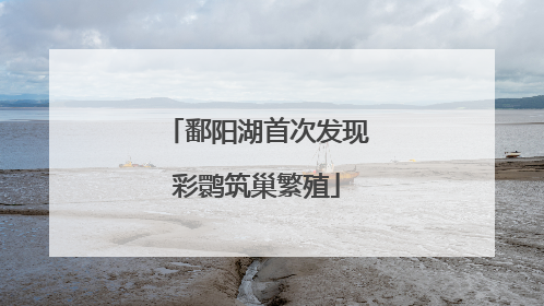 鄱阳湖首次发现彩鹮筑巢繁殖