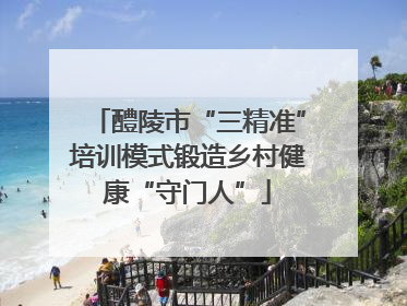 醴陵市“三精准”培训模式锻造乡村健康“守门人”