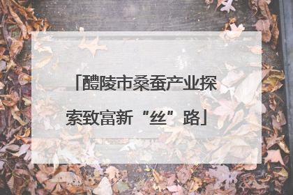 醴陵市桑蚕产业探索致富新“丝”路