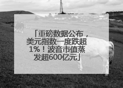 重磅数据公布，美元指数一度跌超1%！波音市值蒸发超600亿元