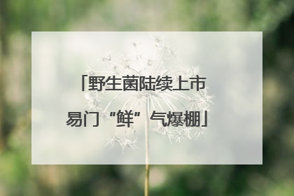 野生菌陆续上市 易门“鲜”气爆棚