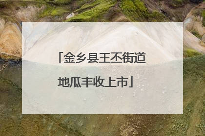 金乡县王丕街道地瓜丰收上市