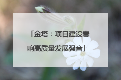 金塔：项目建设奏响高质量发展强音