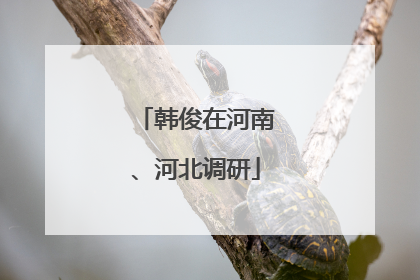 韩俊在河南、河北调研