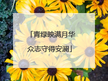 青绿映满月华 众志守得安澜