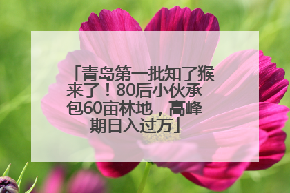 青岛第一批知了猴来了！80后小伙承包60亩林地，高峰期日入过万