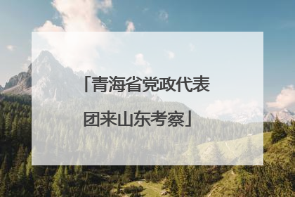 青海省党政代表团来山东考察
