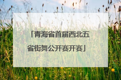 青海省首届西北五省街舞公开赛开赛