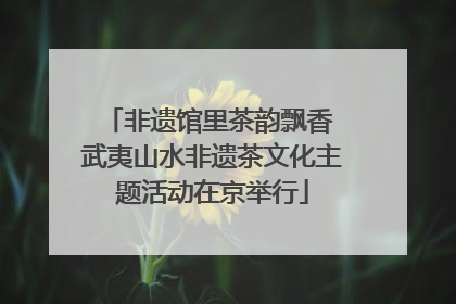 非遗馆里茶韵飘香 武夷山水非遗茶文化主题活动在京举行