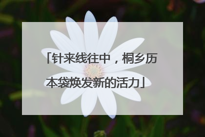 针来线往中，桐乡历本袋焕发新的活力