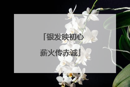 银发映初心 薪火传赤诚