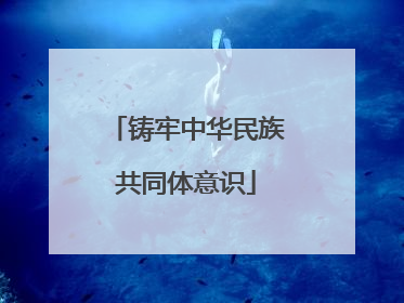 铸牢中华民族共同体意识