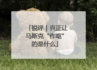 锐评｜真正让马斯克“作呕”的是什么