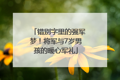 错别字里的强军梦！将军与7岁男孩的暖心军礼