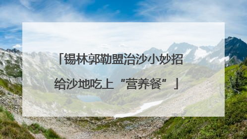 锡林郭勒盟治沙小妙招 给沙地吃上“营养餐”