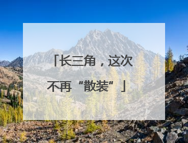 长三角,这次不再“散装”