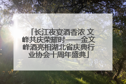 长江夜宴酒香浓 文峰共庆荣耀时——金文峰酒亮相湖北省庆典行业协会十周年盛典