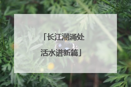 长江潮涌处 活水谱新篇