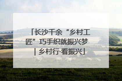 长沙千余“乡村工匠”巧手织就振兴梦｜乡村行·看振兴