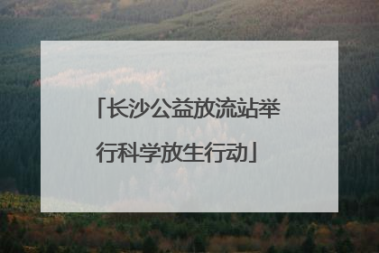 长沙公益放流站举行科学放生行动